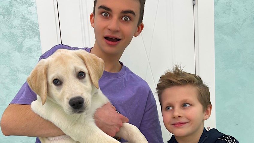 ЗАБРАЛ ВСЕ ДЕНЬГИ У БРАТА И КУПИЛ ЩЕНКА ! СКЕТЧ на CRAZYБОГДАШ