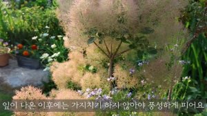 ЧАСТНЫЙ САД В ЮЖНОЙ КОРЕЕ Однолетние и многолетние летние цветы🌼 для садоводства