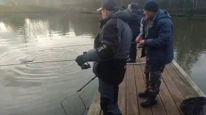 Розовый пламп