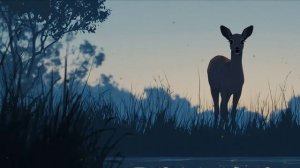 На английском и на русском.