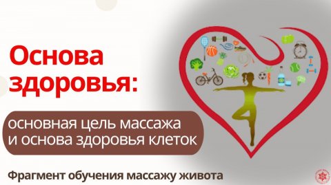 Основа здоровья: основная цель массажа и основа здоровья клеток. Фрагмент обучения