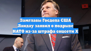 Замглавы Госдепа США Ландау заявил о подрыве НАТО из-за штрафа соцсети X
