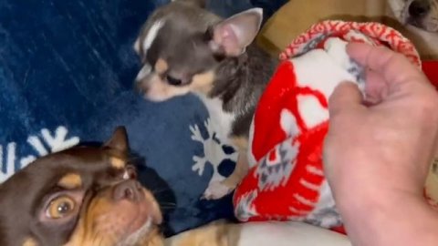 Доброго всем вечера и спокойной ночи.