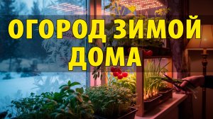 ОГОРОД ЗИМОЙ ДОМА ЗА КОПЕЙКИ