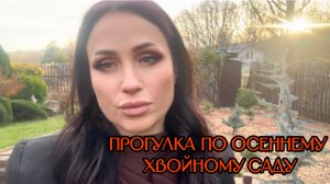 Прогулка по осеннему хвойному саду