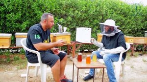 Удивительные пчелы  __ ''Постранствуйте по земле'' __ Фахд аль-Кандари #5