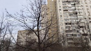 А у нас весна...🌞Аномальная погода в Москве.