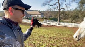 РАНЧО В США