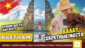 #8 ВЬЕТНАМ ДАЛАТ СЕКРЕТНЫЕ МЕСТА: ФЕРМА С ЖИВОТНЫМИ, ПАРК В ГОРАХ, ФОТОКАФЕ, CRAZY ОТЕЛЬ И ЦЕНЫ