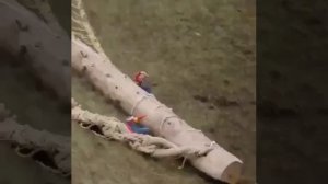 #Стрелковка #Фейлы Когда пересмотрел все части великолепной семерки