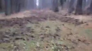 Удивительная прогулка по лесу .6 декабря 2025г