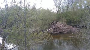 ВЕСНА -2023 ГОД