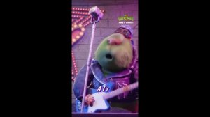 Womanizer - Britney Spears (Cover by First To Eleven)