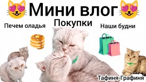 😻Мини влог.Как дела у девочек ?/ Наши будни/Делаем оладья/Покупки из магазинов.🛍️