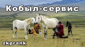 Пранк ЖКХ  КОБЫЛ-СЕРВИС