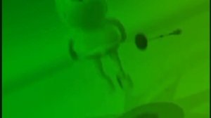 gummy bear song version parisaki 😃