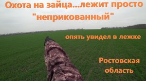 Охота на зайца…лежит просто «неприкованный»...опять увидел в лежке, здоровый русачина