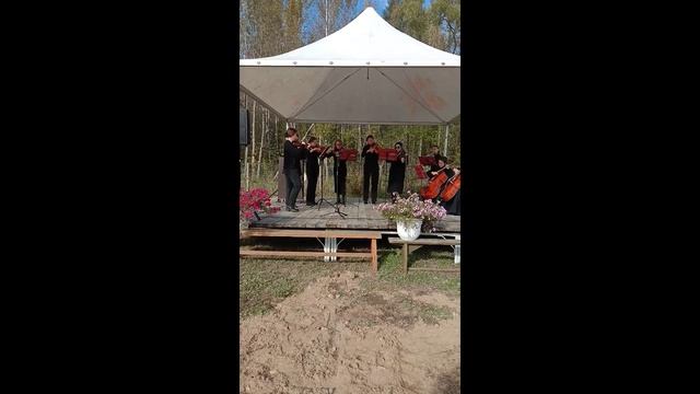 Классическая музыка. смотреть онлайн