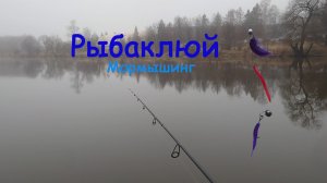 Фрязино технические пруды