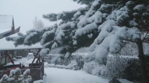 Снежная сказка на даче! ❄️⛄🌨️