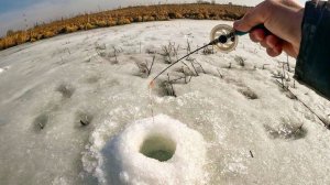 ЗАБУРИЛСЯ В ТРАВУ, ТОЛЬКО СЕЛ и кивок ПОДНЯЛО! ПОСЛЕДНИЙ ЛЁД, Рыбалка в 2026