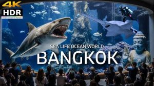 Бангкокский океанариум. Самый большой аквариум в Таиланде 2025. 4K HDR.