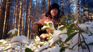 Зимовьюшко! Наступила Зимняя морозная Сказка . погода -20°