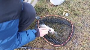 VID_20251207_114329_846