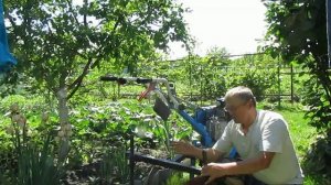 (1)окучиваем картофель