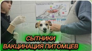 САМВЕЛ АДАМЯН, СЫТНИКИ, ВАКЦИНАЦИЯ ПИТОМЦЕВ..