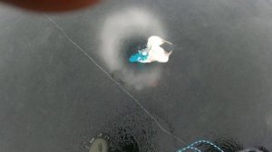 Утопили жерлицы! Вот тебе и Первый лёд!