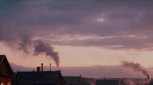 Ромашки спрятались - Марина Артемьева