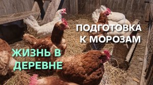 Жизнь в деревне Кормим кур очистками и поим снеговой водой Для тёплого пола сено на подстилку