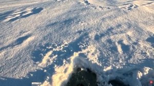 Рыбалка с эхолотом. С первого раза не разобрался но рыбы наловил.