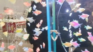 07-12- В тц Ашан