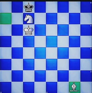 Матование одинокого короля. Мат конем и слоном