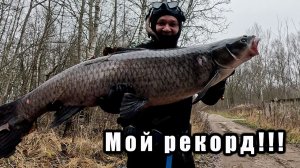 ТРОФЕЙНАЯ ПОДВОДНАЯ ОХОТА!!! РЕКОРДНЫЙ ЧЕРНЫЙ АМУР!!!ЛУЧШИЕ МОМЕНТЫ ТРОФЕЙНОЙ ОХОТЫ!!
