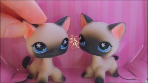 LPS G7: Opening 1 сезон Твои Руки Дрожат...