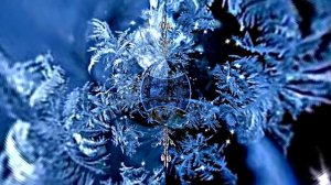 Русская Зима 4!!! Очарование Зимы от Киностудии Мудрого Кота Тимофея!