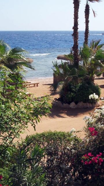 египет отель цитадель