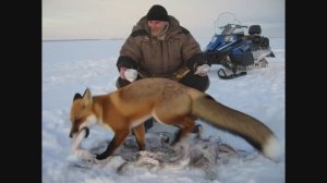 Оживление фотографии №36