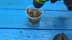 Я смешала перекись водорода и лимонную кислоту, в результате чего получилось.mp4