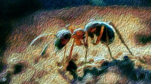 Муравей на берёзе