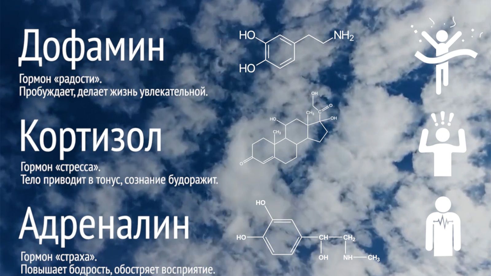 Секреты для достижения максимальных результатов