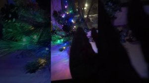 распаковка с прошлого видео:)