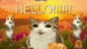 ну типо моё возвращение