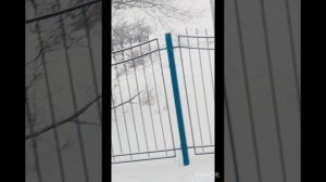 Моя пробежка по зимнему парку. Детки катаются на горке. Поставили деда Мороза и Снегурочку.