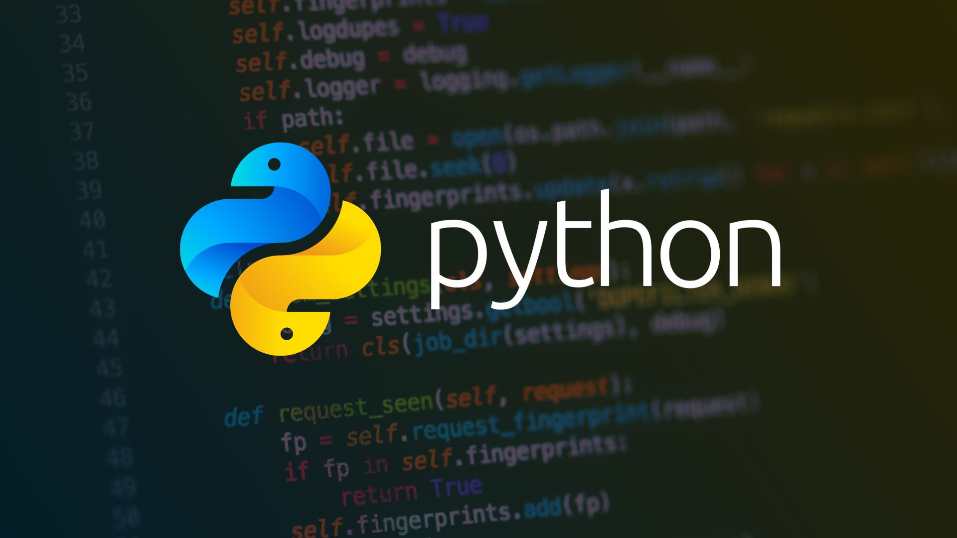 Python. 1 урок