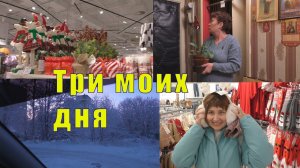 ПОСЫЛКА В СУДАК /БЫЛА В СУДЕ /ДЕЛА ДЕЛАЮТСЯ / 26 / 27 и 28 ноября 2025
