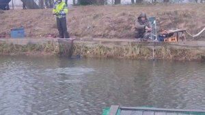 video5307865118636281789